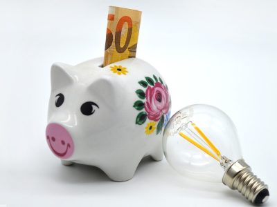 Sparen_leicht_gemacht:_Wie_Unternehmen_mit_PayPal_Kosten_reduzieren_können
